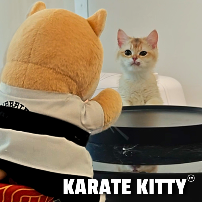 Karate Kitty™
